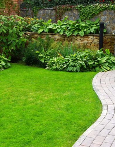 pielęgnacja ogrodów Poznań – koszenie trawnika i przycinanie krzewów