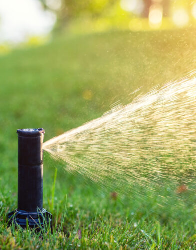 Nawadnianie ogrodu Poznań – montaż system