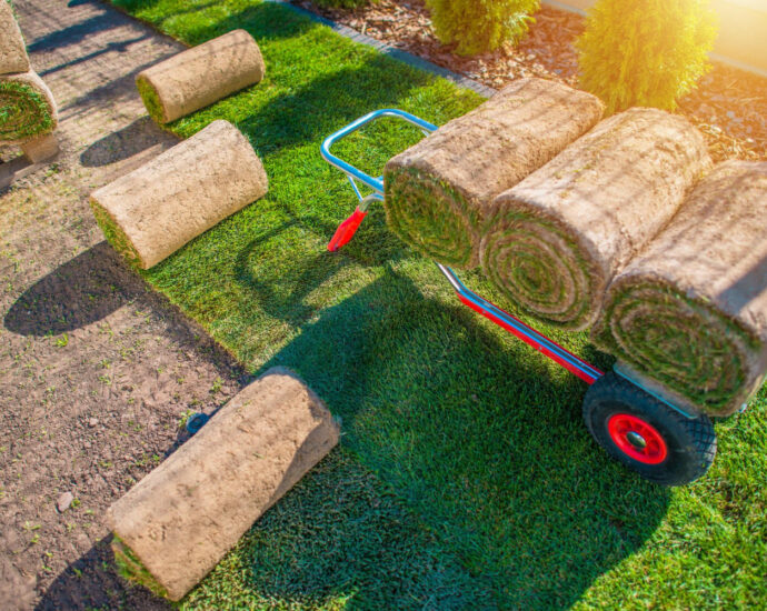 Trawnik z rolki Poznań – układanie trawnika