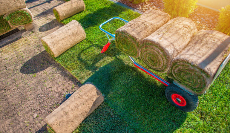Trawnik z rolki Poznań – układanie trawnika