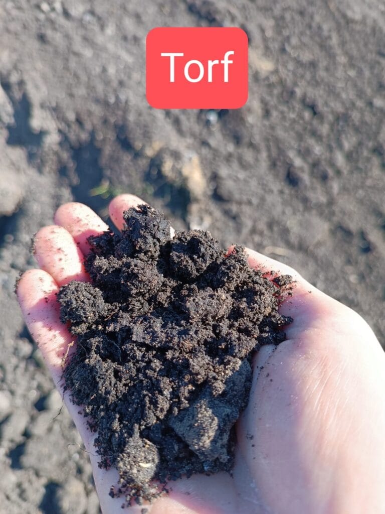 Torf